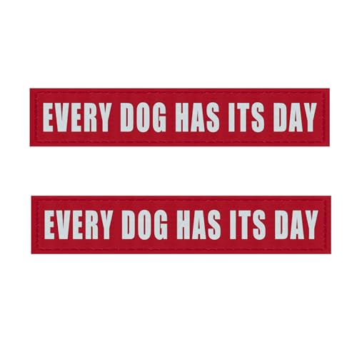 Every Dog Has Its Day (2 Pack Red)