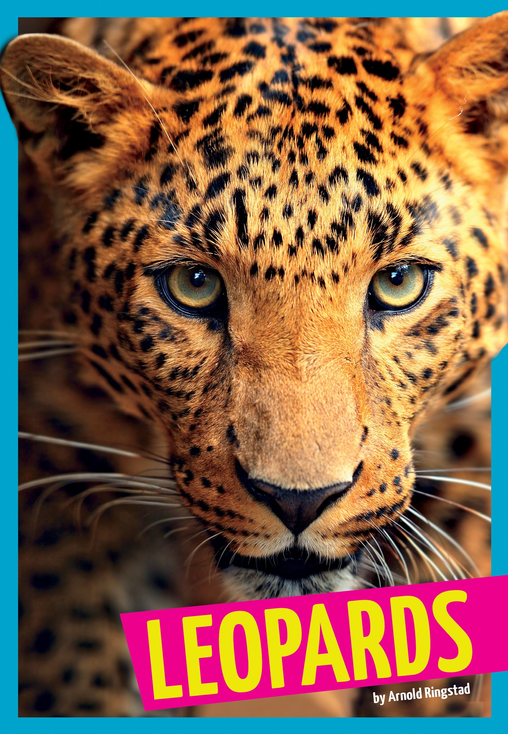 Leopard Print Wild Cat Decor - Stunning Animal Theme for Home, Office & Jungle Party Decorations