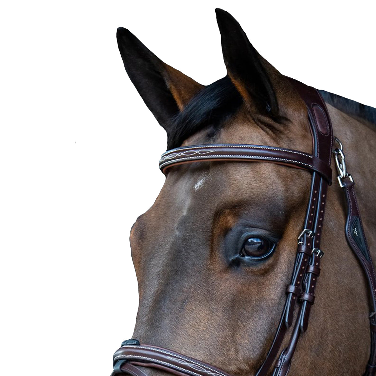 Equiline Fancy Stitched Padded Browband - Comfortable Horse Riding Headband for Equestrian Sports & Dressage Training | Perfect for Show Jumping & English Riding Accessories