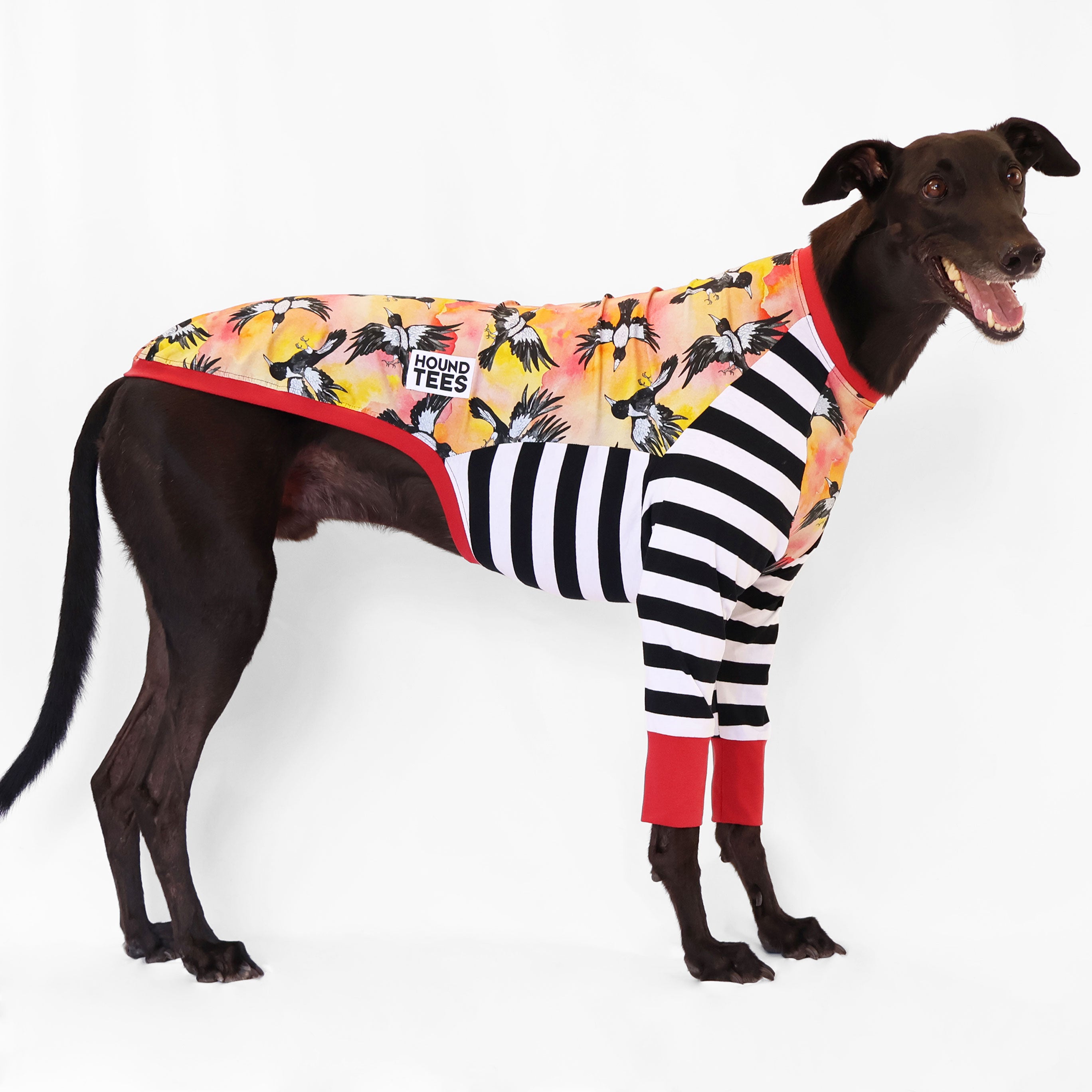 Greyhound Long Sleeve T-Shirt for Dog Lovers - Comfortable Cotton Hound Print Tee - Perfect for Casual Wear, Dog Walks & Pet Owner Gifts