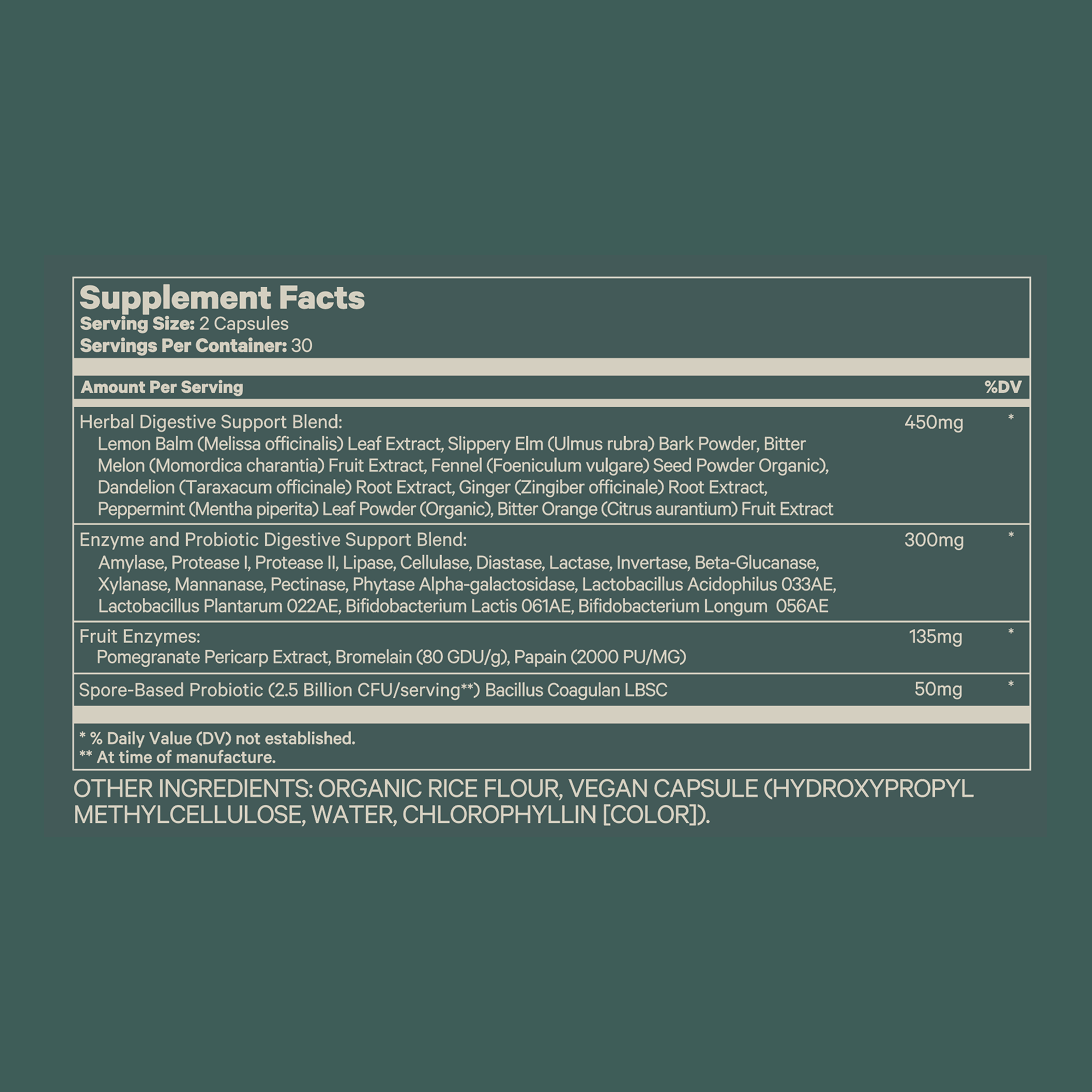 Best Detox Digestive Enzymes Supplement for Gut Health & Digestion - Supports Cleansing, Bloating Relief & Nutrient Absorption - Ideal for Post-Meal, Travel & Weight Management