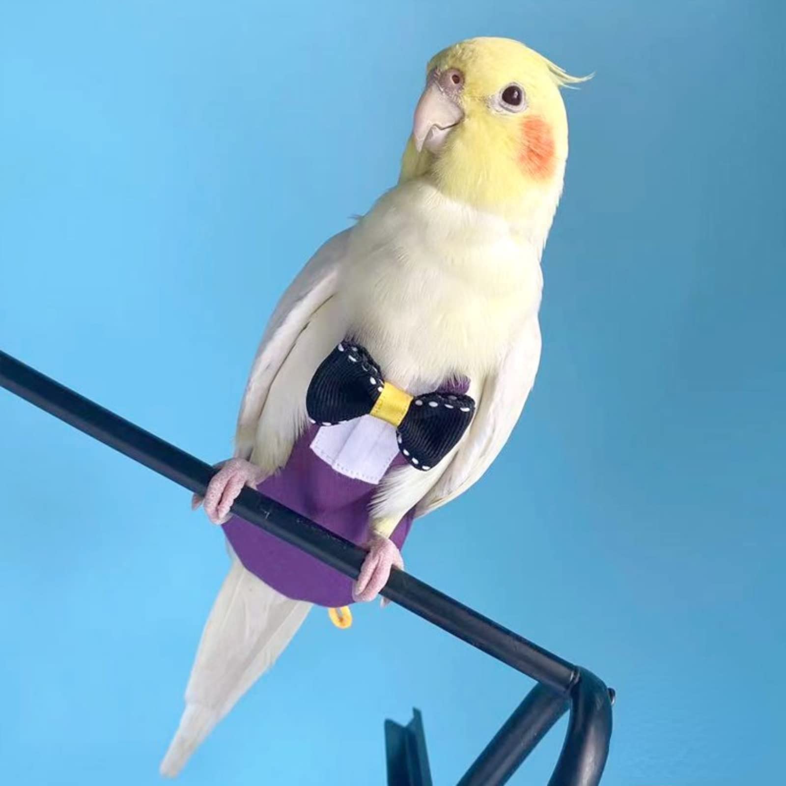 Parrot Diaper Harness & Flight Suit for Small Birds - Adjustable Leash for Cockatiels, Conures, Lovebirds - Soft Washable Bird Training Clothes with Liner (Size S, Purple) - Perfect for Indoor Play, Travel & Potty Training