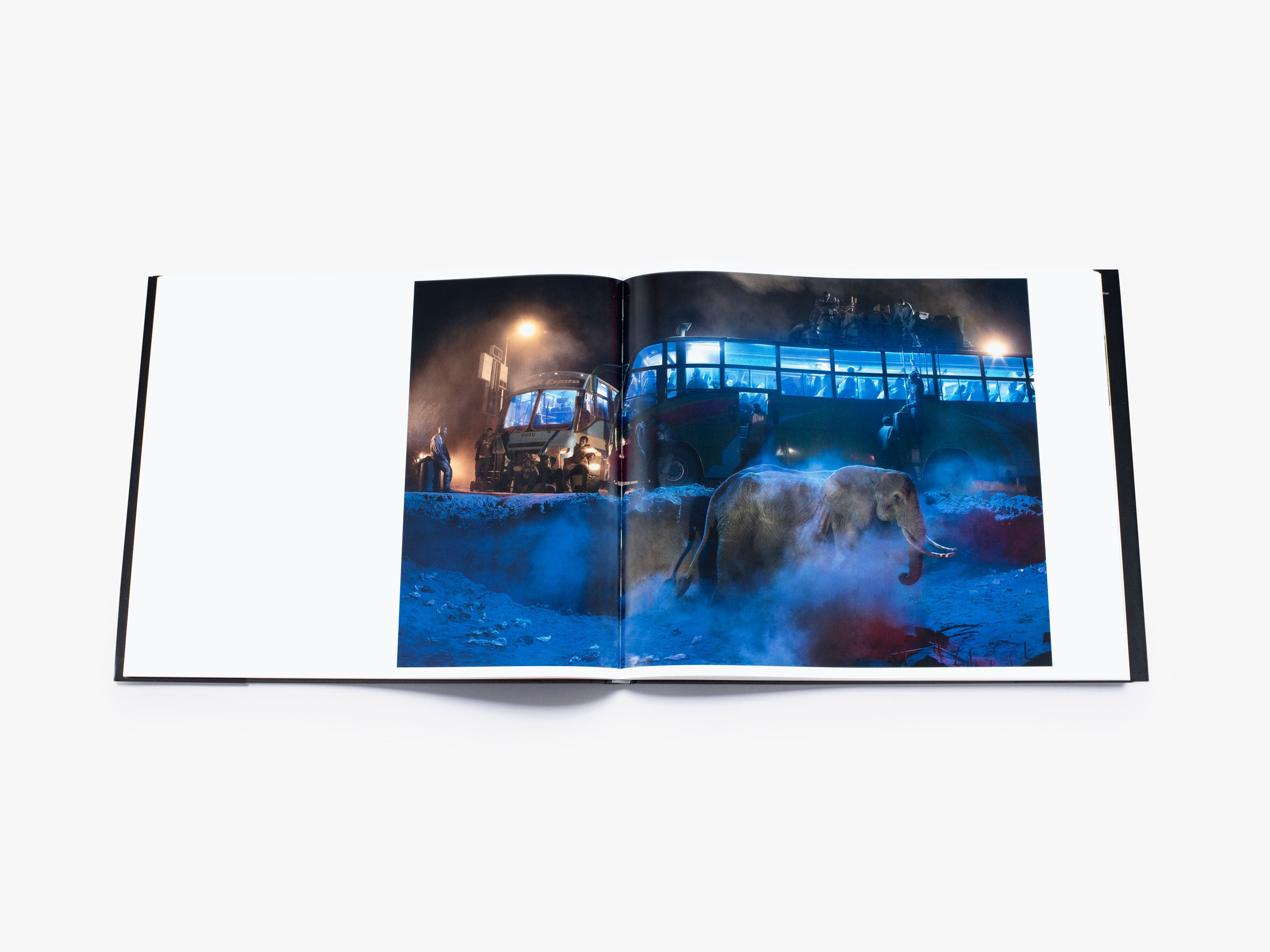 Nick Brandt: This Empty World - Stunning Wildlife Photography Book for Nature Lovers | Perfect for Home Decor, Coffee Table Display & Conservation Awareness