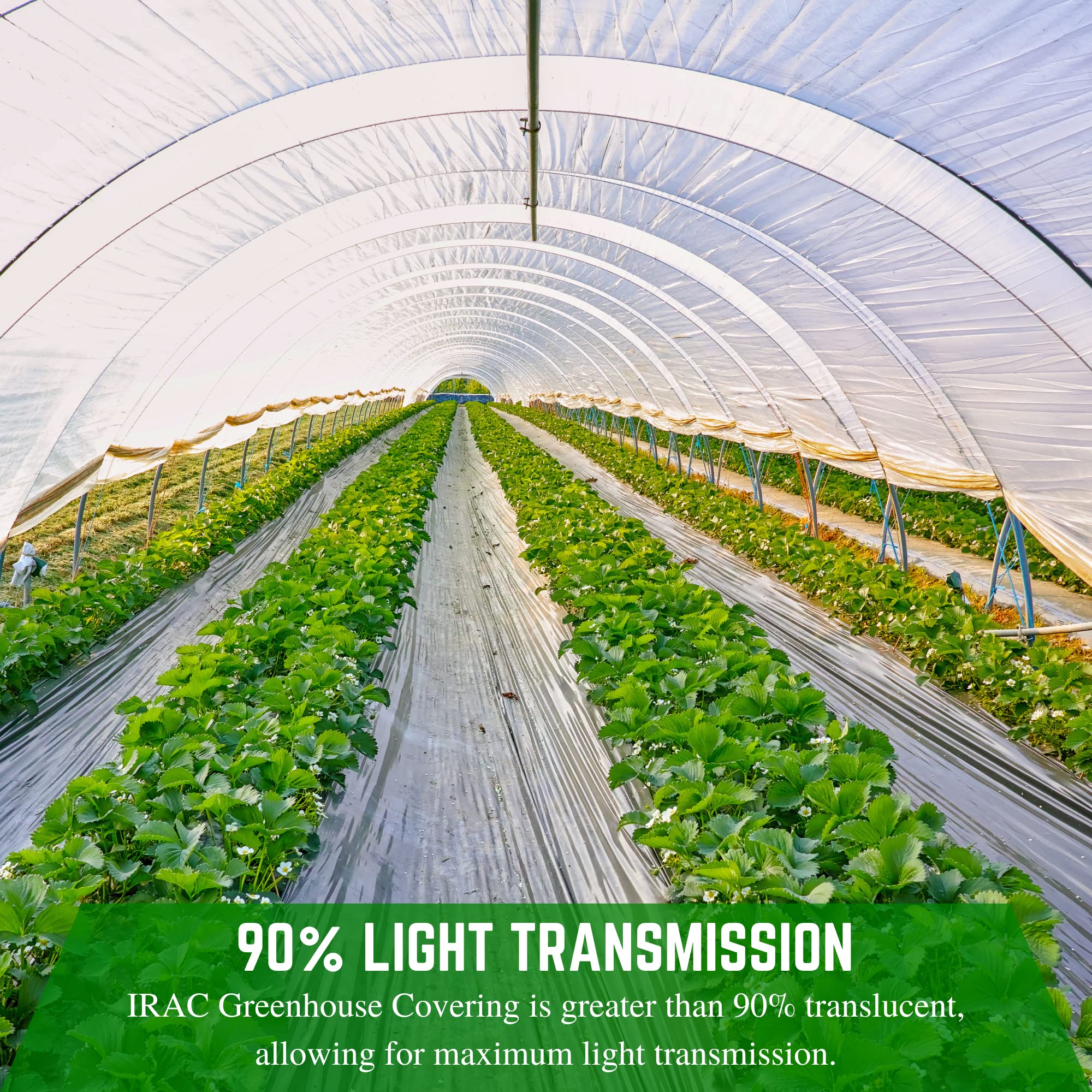 Premium 6 Mil Clear Greenhouse Plastic Sheeting - 20' x 70' - UV Resistant, Anti-Condensate, Thermal Cover for Greenhouses, High Tunnels & Plant Protection - 4 Year Durability - Ideal for Year-Round Gardening & Crop Growth