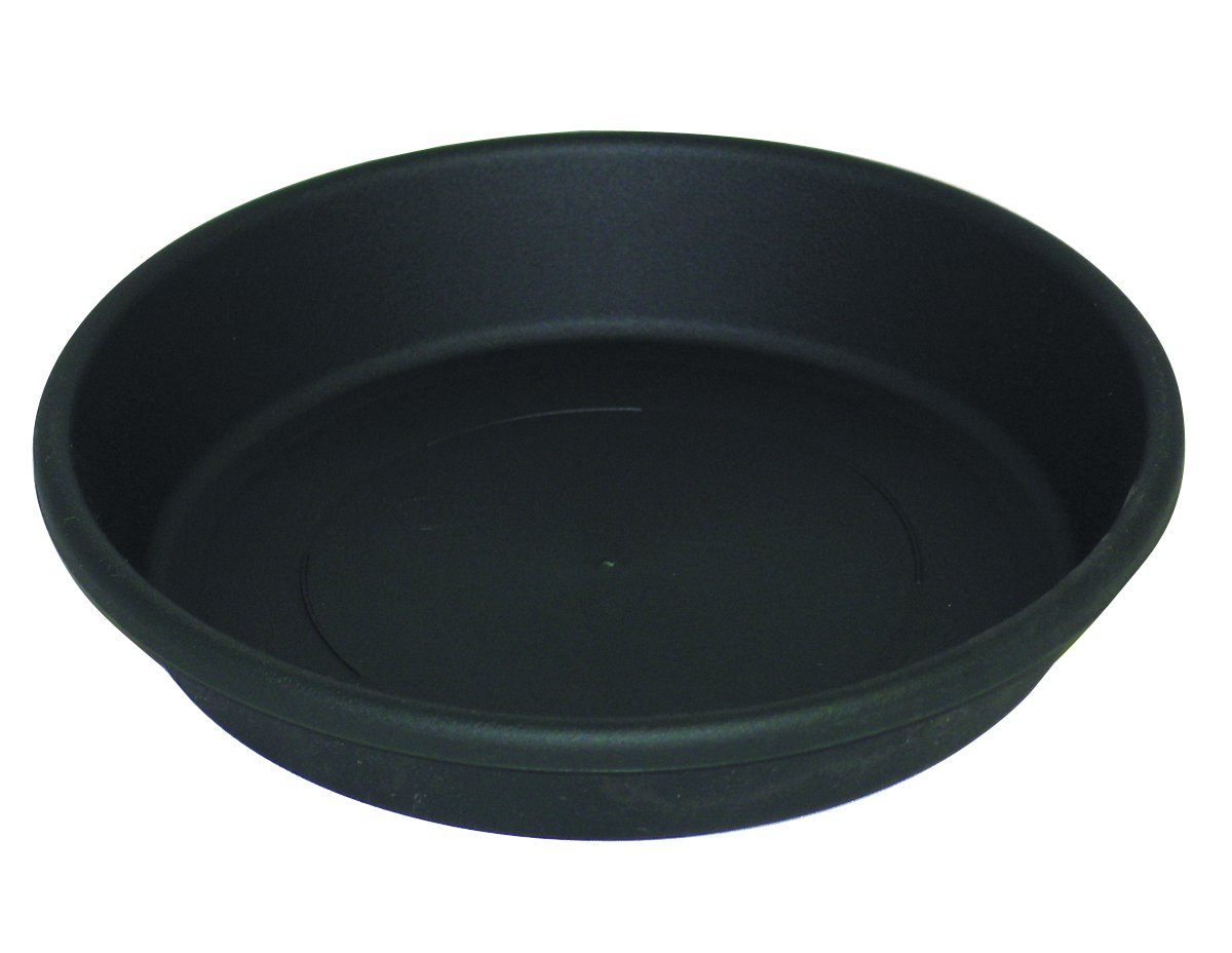 Akro Mils SLI08000B91 Green Classic Saucer for 8 Inch Plant Pots - Perfect for Indoor and Outdoor Gardening, Drainage Tray for Flower Pots and Planters