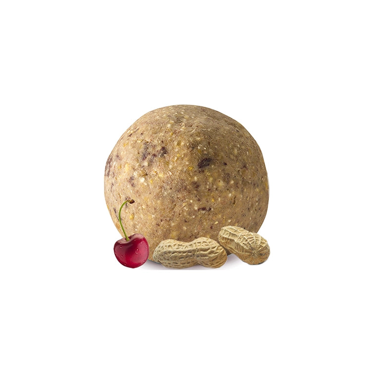 Premium Fruit & Nut Suet Balls for Wild Birds - High Energy Bird Food for Year-Round Feeding - Perfect for Garden, Backyard & Outdoor Bird Feeders