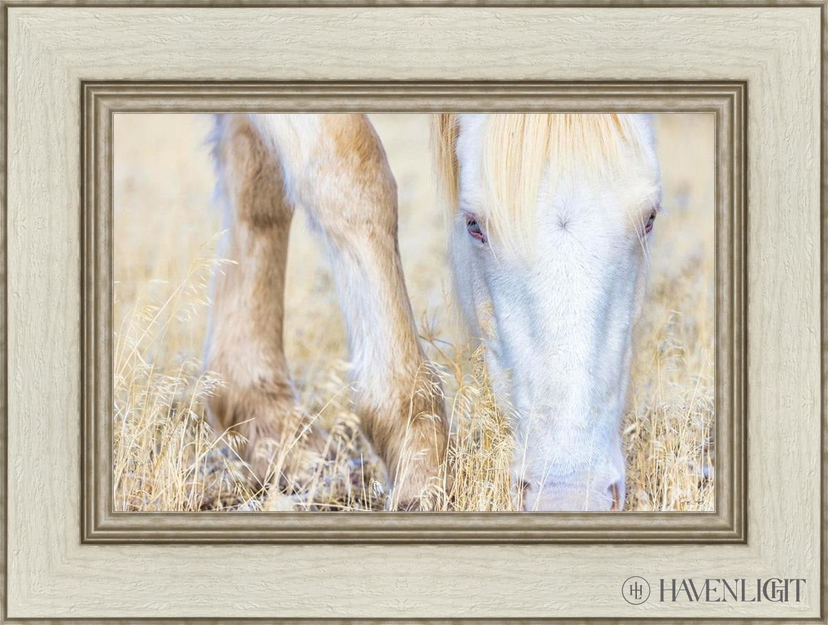 Dry Grass by Greg Sargent - Premium Handcrafted Home Decor for Rustic & Farmhouse Style - Perfect for Wall Art, Shelf Displays & Cozy Living Room Decor