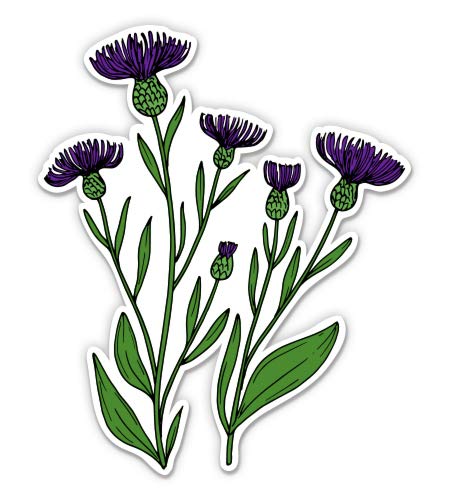 Thistle - 12 Inch Waterproof Vinyl Sticker Decal for Laptops, Cars, Windows & Outdoor Use