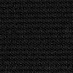 Licorice Fabric