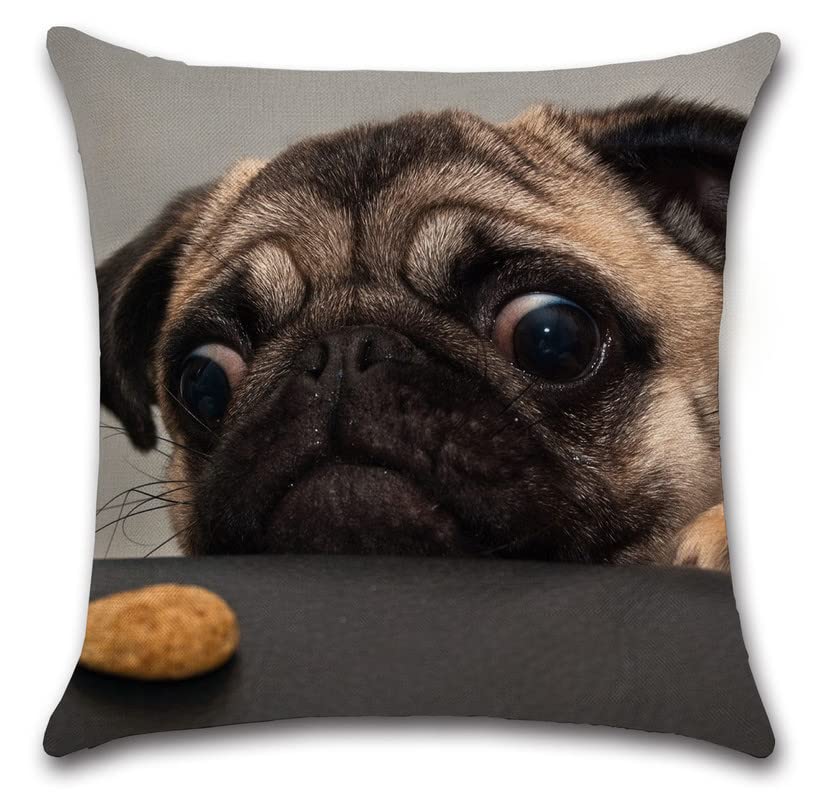 Pug Dog Throw Pillow Covers 18x18 Inch - Square Decorative Cushion Covers for Sofa, Couch & Home Decor | Soft & Stylish Accent Pillow Cases for Living Room, Bedroom & Nursery