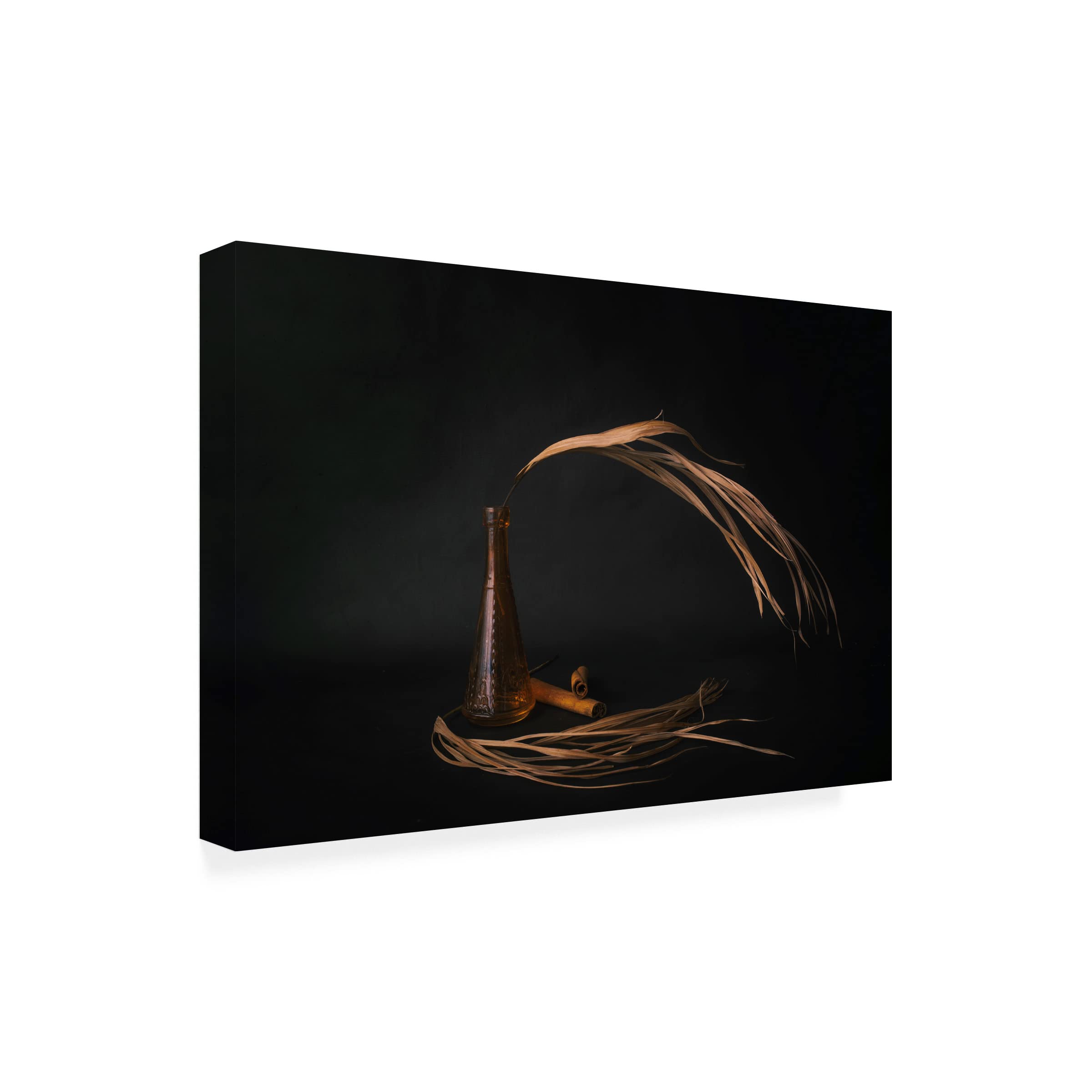 Trademark Fine Art 'Swaying In The Wind' Canvas Wall Art Print by Cicek Kiral - Modern Home Decor for Living Room, Bedroom & Office