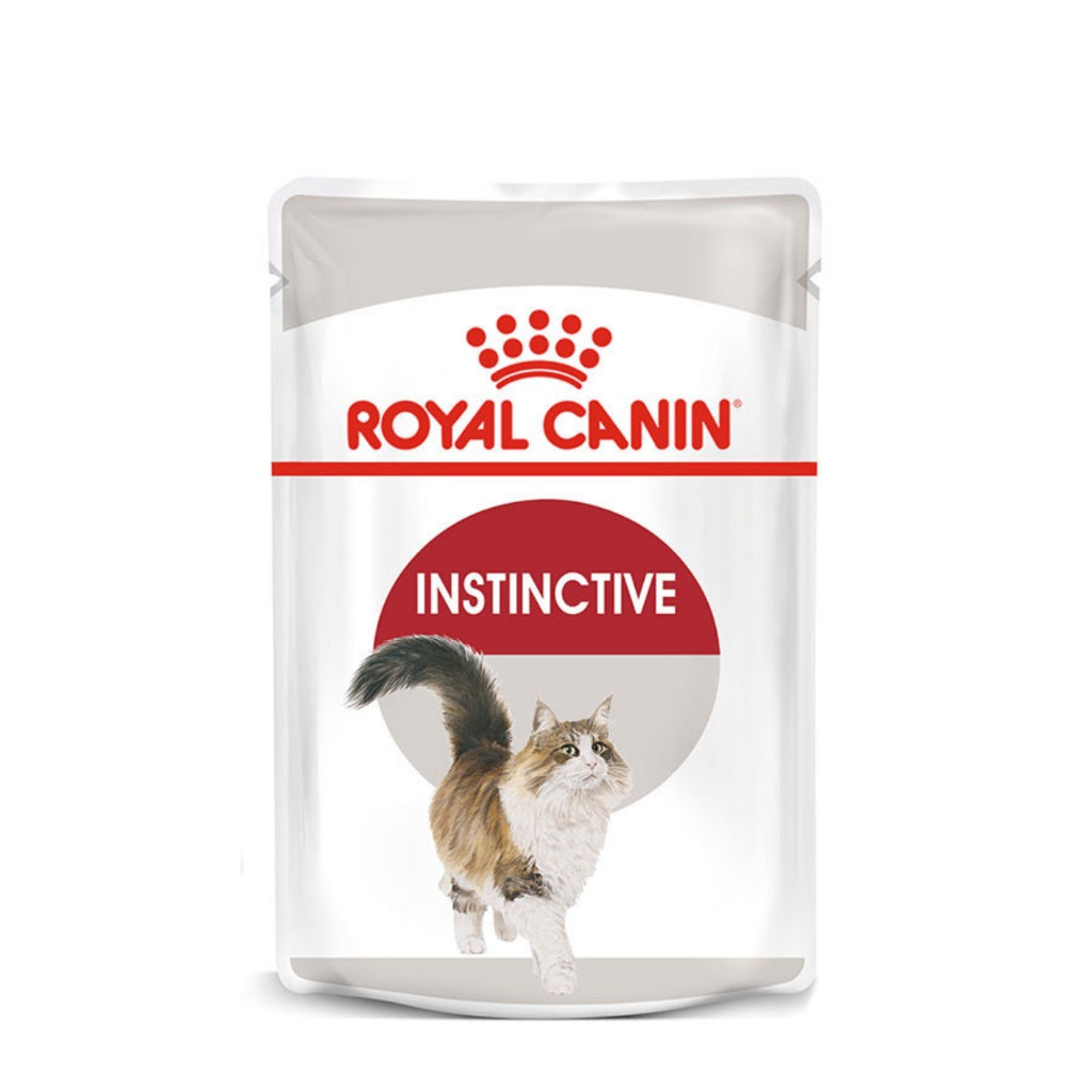 Royal Canin Wet Cat Food for Adult Cats - 85g Pouch, High Protein & Balanced Nutrition - Perfect for Picky Eaters & Indoor Cats - Ideal for Daily Meals & Special Occasions