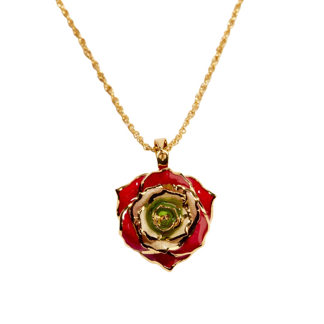 24K Gold Dipped Eternal Rose Necklace - Real Preserved Flower Jewelry for Women, Anniversary Gift, Valentine's Day Present, Wedding Proposal Keepsake - Perfect for Romantic Occasions & Special Moments