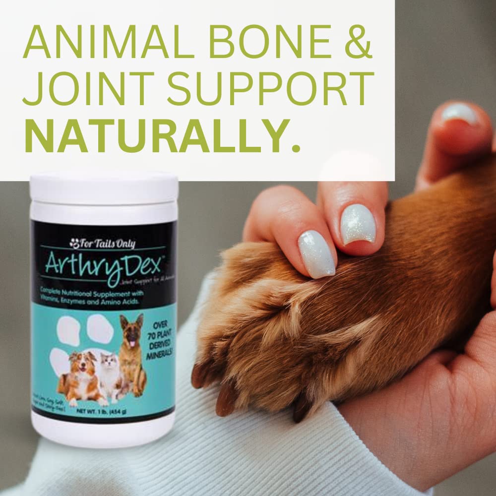 Youngevity Arthrydex Complete Nutritional Supplement for Pets - Vitamins, Probiotics & Enzymes for Healthy Bones & Joints | 1 lb Canister (Pack of 4) | Ideal for Senior Dogs & Cats with Joint Discomfort