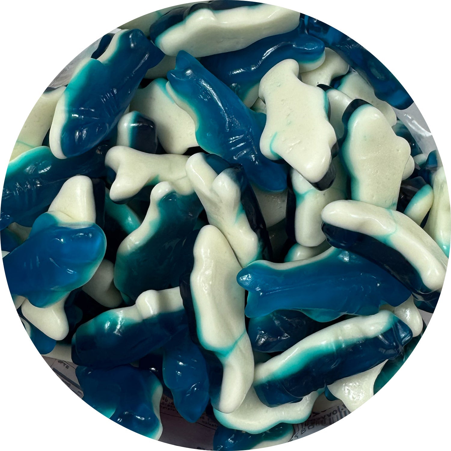 Jovy Gummy Sharks Candy - Blue & White Shark Shaped Gummies - 5 Pound Bulk Bag - Perfect for Birthday Parties, Halloween Treats & Candy Buffets