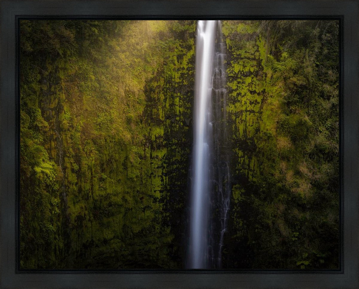 Stunning Akaka Falls Hawaii Landscape Art Print - Premium Gallery Wrap Canvas for Home & Office Decor - Perfect for Living Room, Bedroom, or Gift