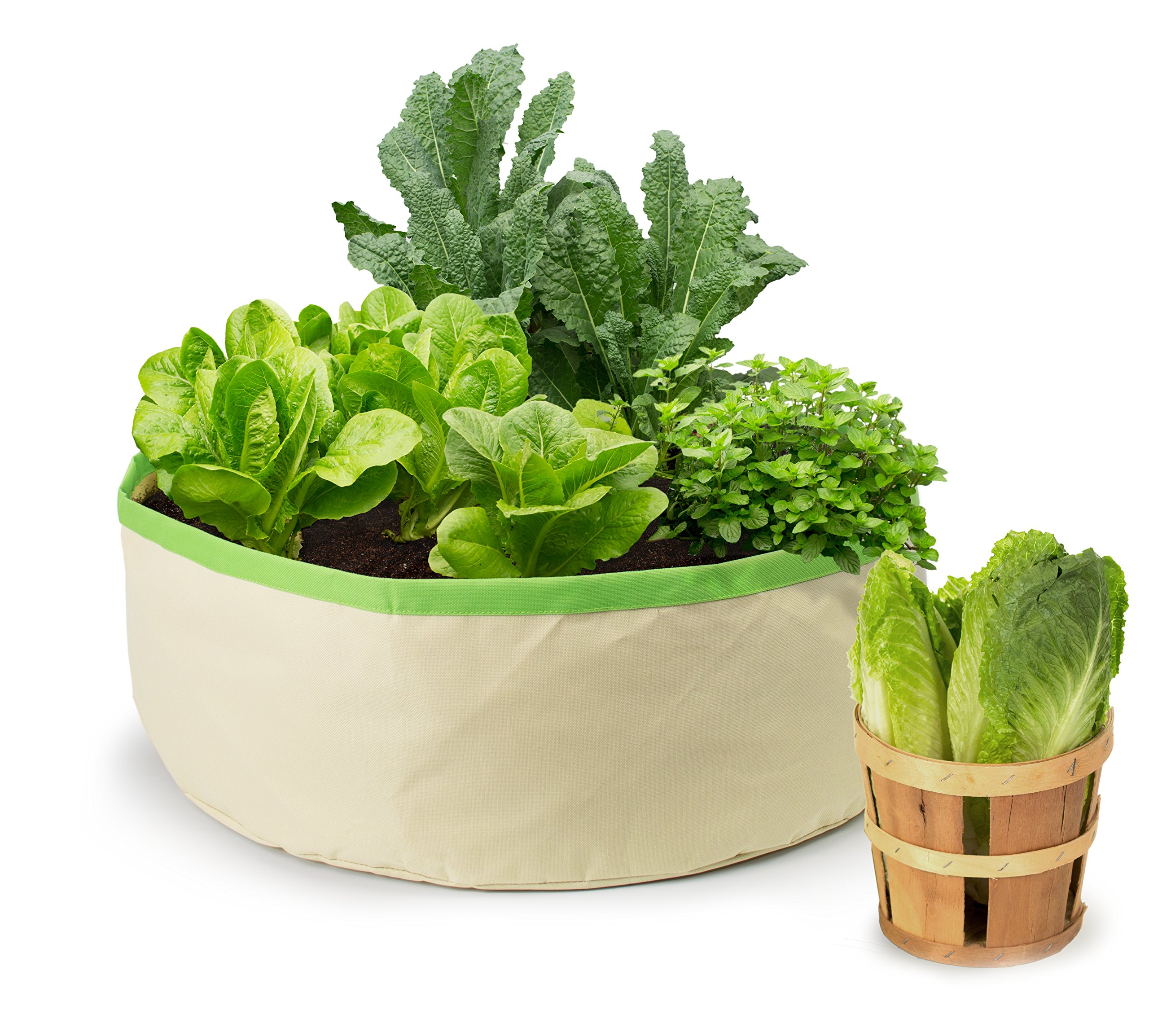 Organic Herbs and Greens Grow Bag - Self-Watering Planter for Indoor & Outdoor Gardening - Perfect for Kitchen, Balcony, and Urban Farming