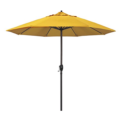 Sunflower Yellow