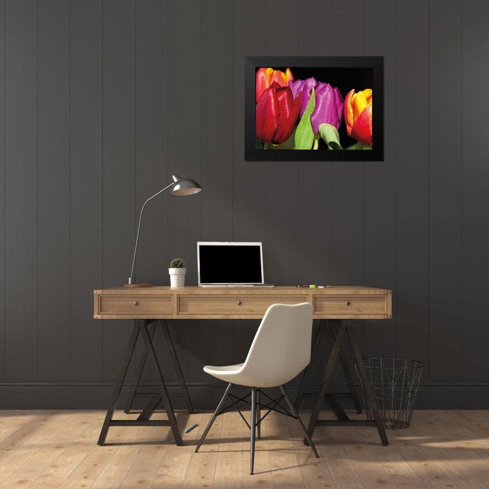 Tulips on Black - Witt, Sibylle - Elegant Floral Wall Art for Home & Office Decor