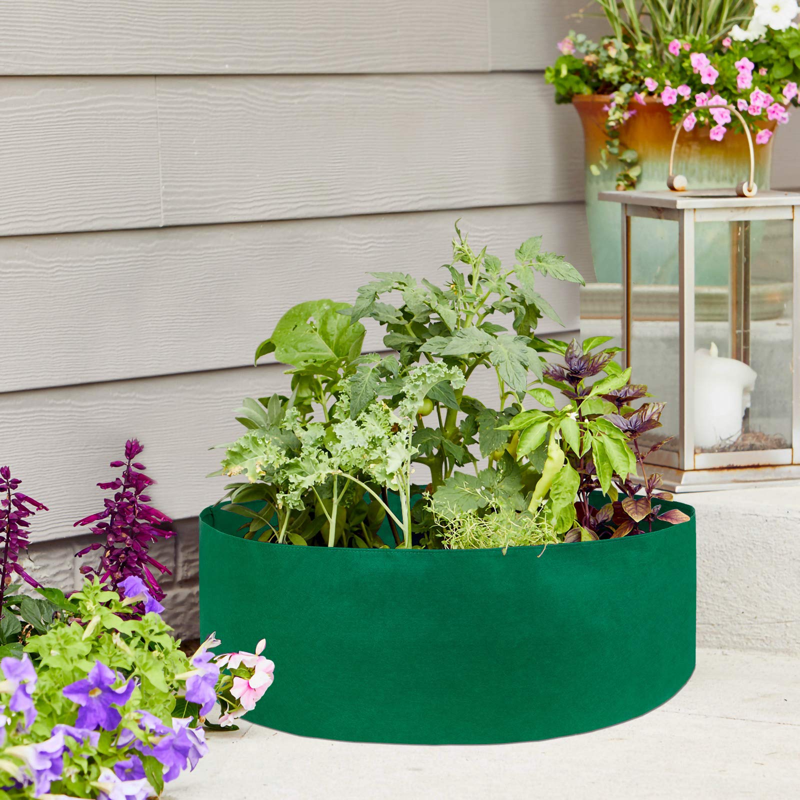 50 Gallon Fabric Garden Bed - Breathable Planting Grow Bags for Vegetables, Flowers & Plants | Durable Raised Garden Container for Outdoor, Indoor & Patio Gardening