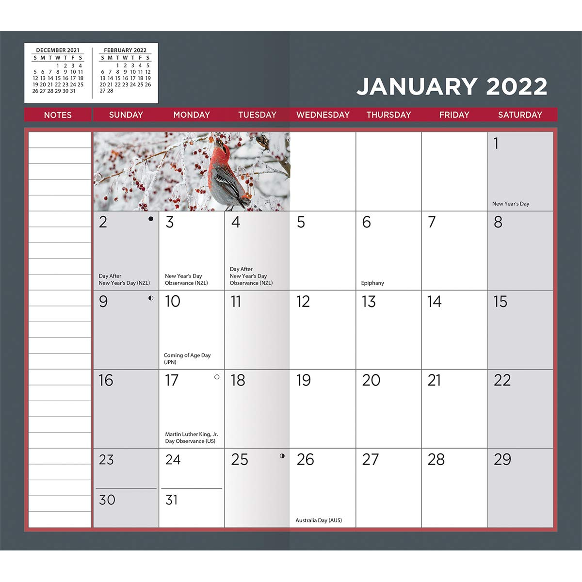 Turner Photographic Songbirds 2 Year Planner 2024-2025 - Beautiful Bird Photography Calendar Organizer - Perfect for Office, Home, or Gift Giving