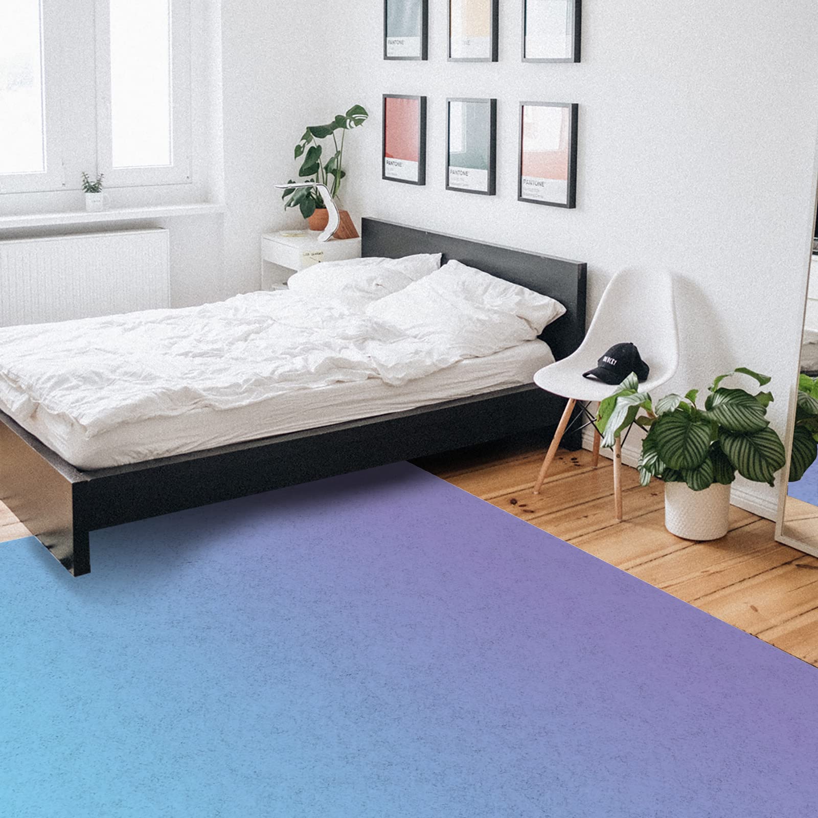 Large Non-Slip Area Rug 2'7