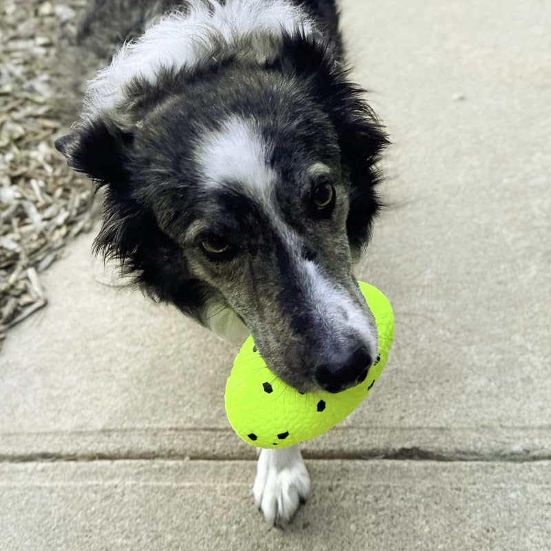 Durable KONG Reflex Football Dog Toy - Flexible Bounce Material for Interactive Play, Fetch & Training - Perfect for Outdoor & Indoor Fun with Your Pet