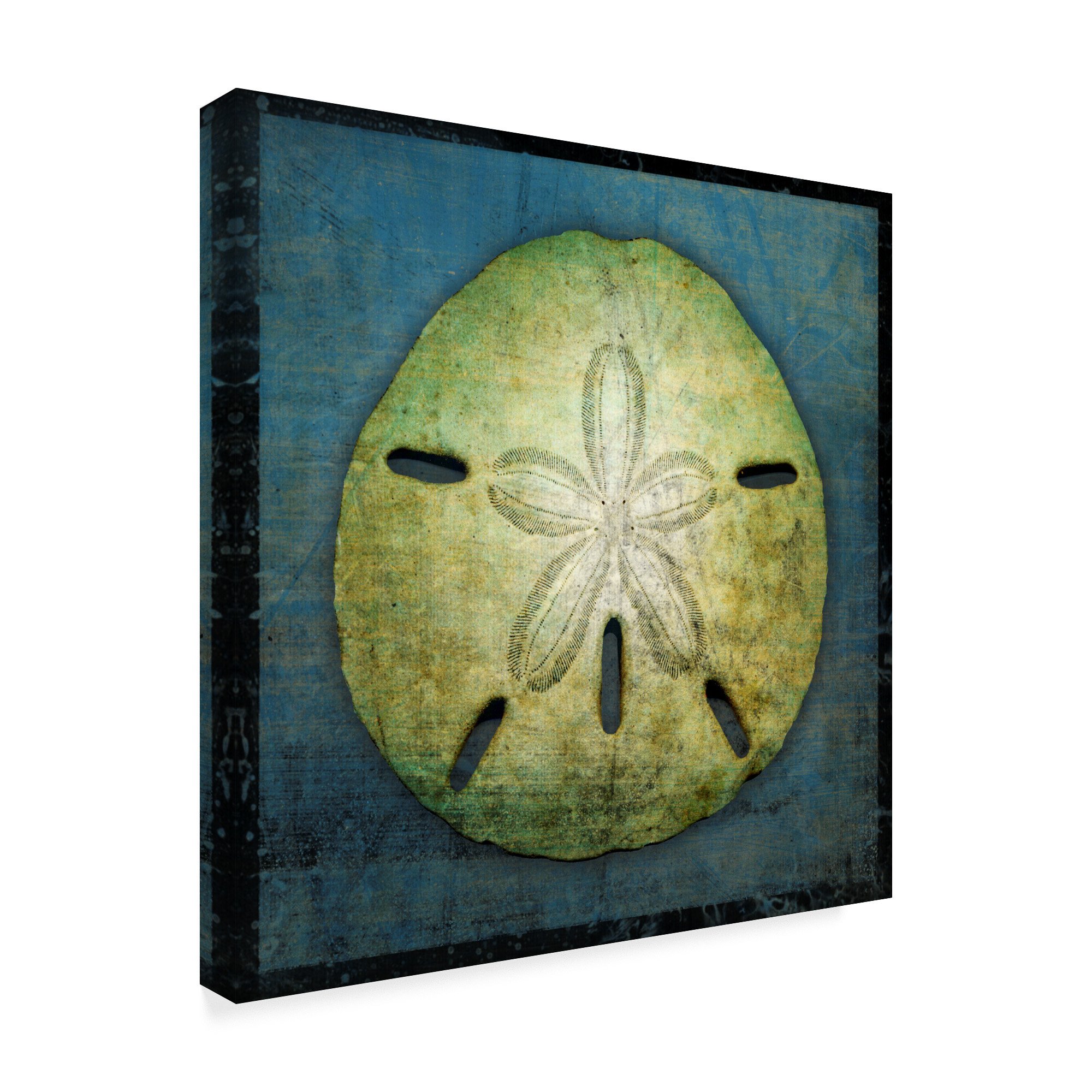 Sand Dollar by John W. Golden - 24x24 Inch Coastal Beach Wall Art - Perfect for Living Room, Bedroom or Beach House Decor
