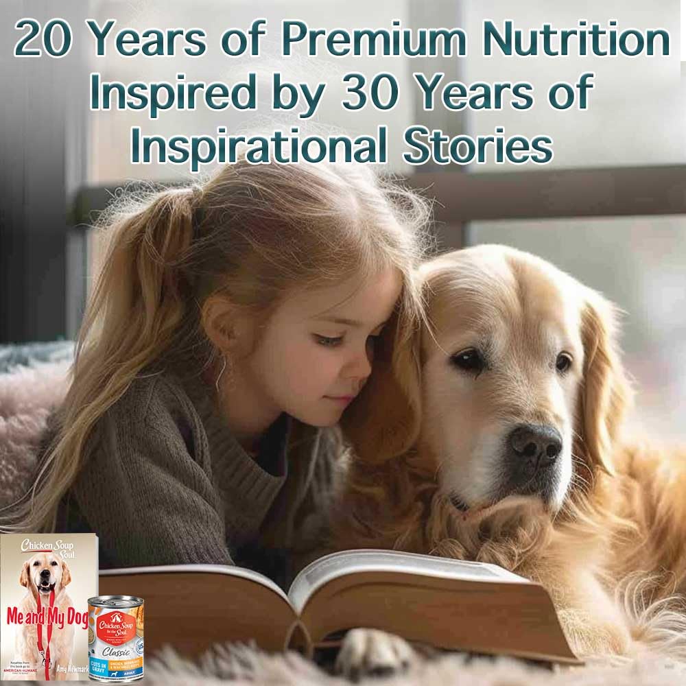 Chicken Soup for The Soul Classic Wet Adult Dog Food - Chicken, Brown Rice & Vegetables in Gravy, 13oz Can (Pack of 12) | Soy, Corn & Wheat Free, Natural Canned Dog Food with Real Ingredients | Perfect for Senior Dogs & Picky Eaters