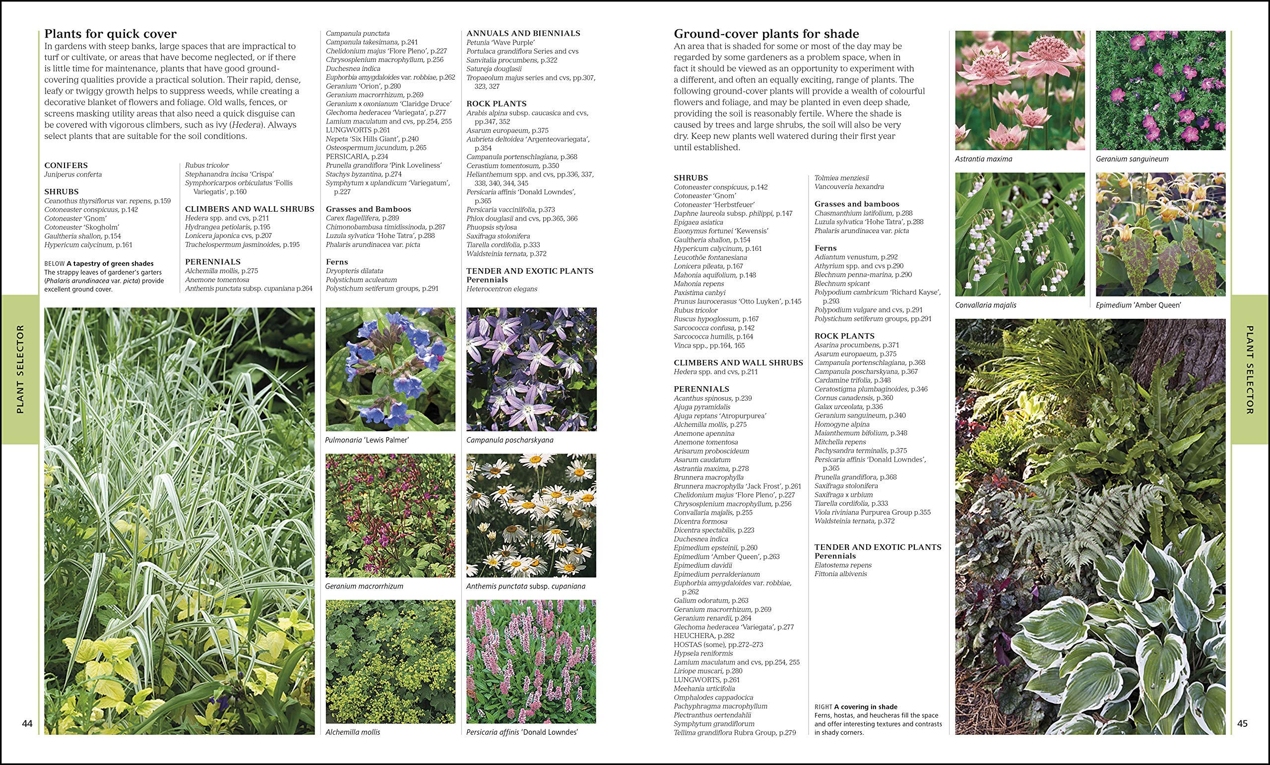 RHS Encyclopedia of Plants and Flowers - Comprehensive Gardening Guide for Home & Garden Landscaping | Perfect for Beginners & Expert Gardeners
