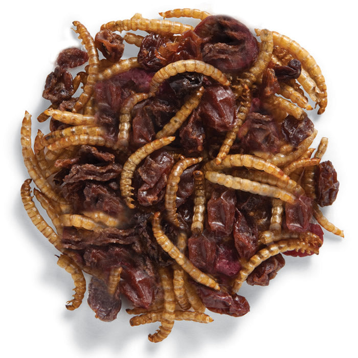 Premium Roasted Mealworm & Cranberry Wild Bird Food - High Protein, Nutritious Treat for Wild Birds - Attracts Cardinals, Bluebirds & Woodpeckers - Perfect for Backyard Bird Feeders & Wildlife Gardens