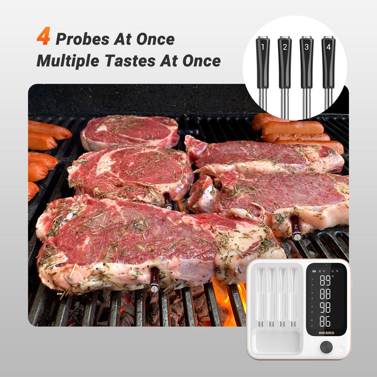 Wireless Meat Thermometer with WiFi & Bluetooth - INT 14 BW for Smart Cooking, Grilling, Smoking & Baking