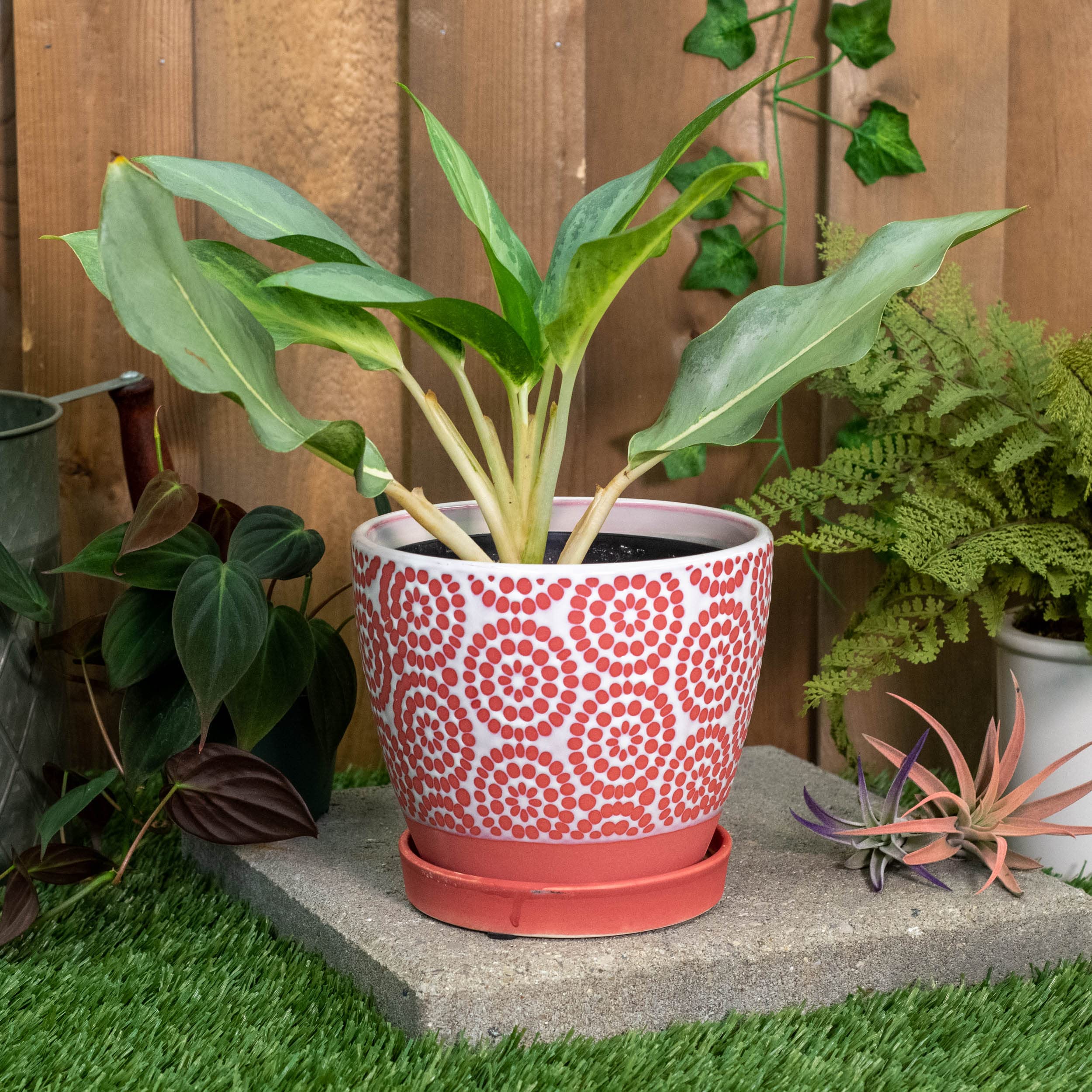 5.5 x 6 Inch Ceramic Flower Pot with Saucer - Dotted Petal Red and White Planter for Indoor Plants, Succulents, and Home Decor | Perfect for Windowsills, Table Centerpieces, and Garden Displays