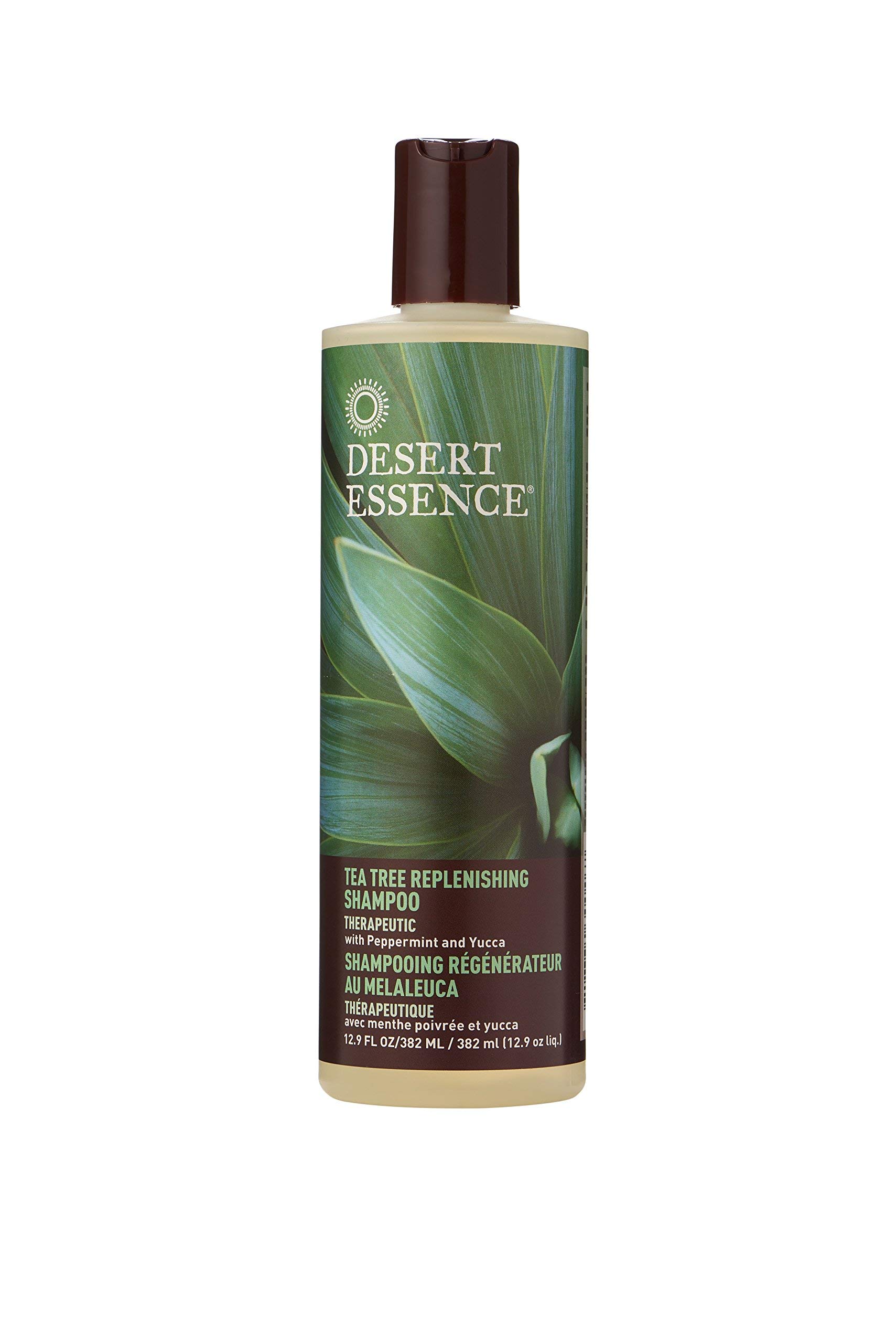 Desert Essence Tea Tree Replenishing Shampoo for Dry Scalp - 12.9 Oz (Pack of 3) - Natural & Organic Hair Care for Dandruff & Itchy Scalp - Perfect for Daily Use & Scalp Refreshment
