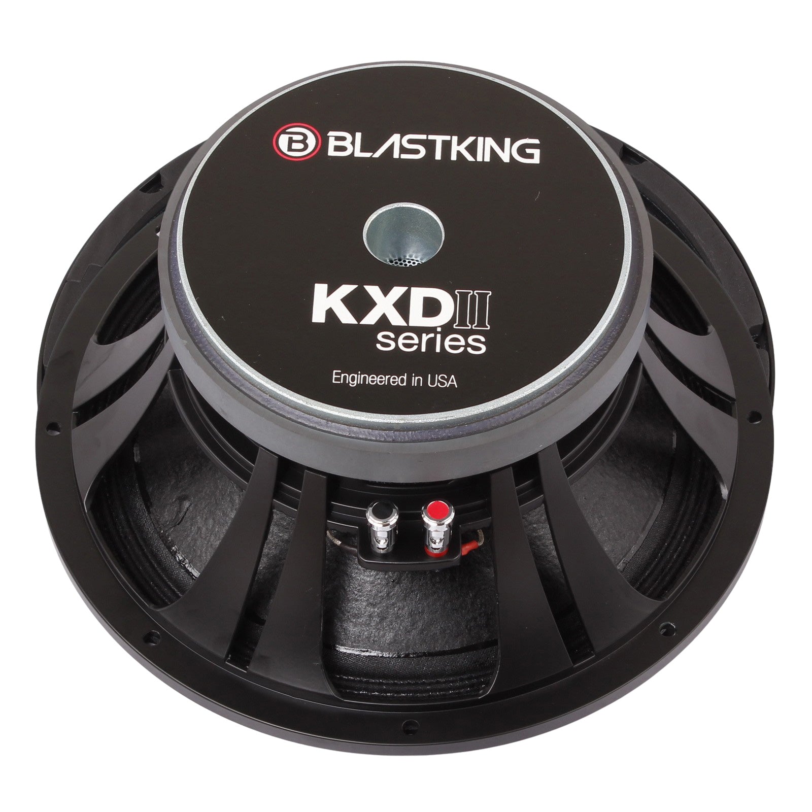 Blastking KXDII15A Woofer Replacement Speaker - High Performance 15