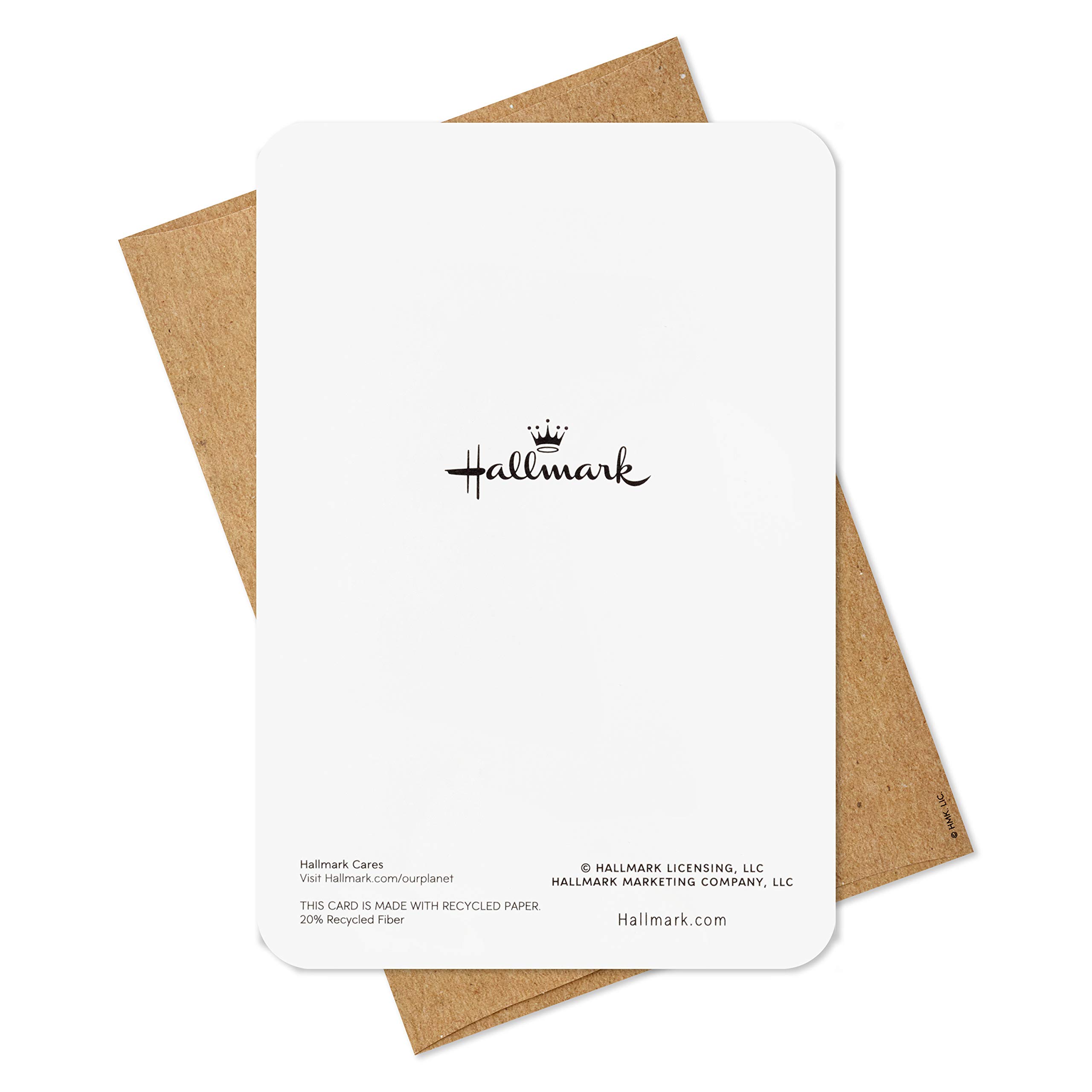 Hallmark Boxed Christmas Cards with Snowman Design - 16 Greeting Cards & 17 Envelopes - Perfect for Holiday Wishes, Office Gifts & Family Correspondence