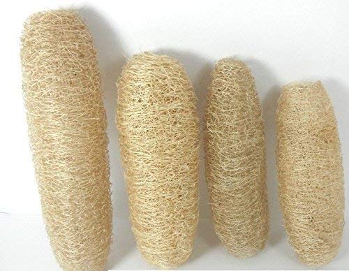 Natural Loofah Sponge for Bathing & Exfoliating - Organic Body Scrubber for Men & Women - Perfect for Shower, Spa, and Gentle Skin Care Routine