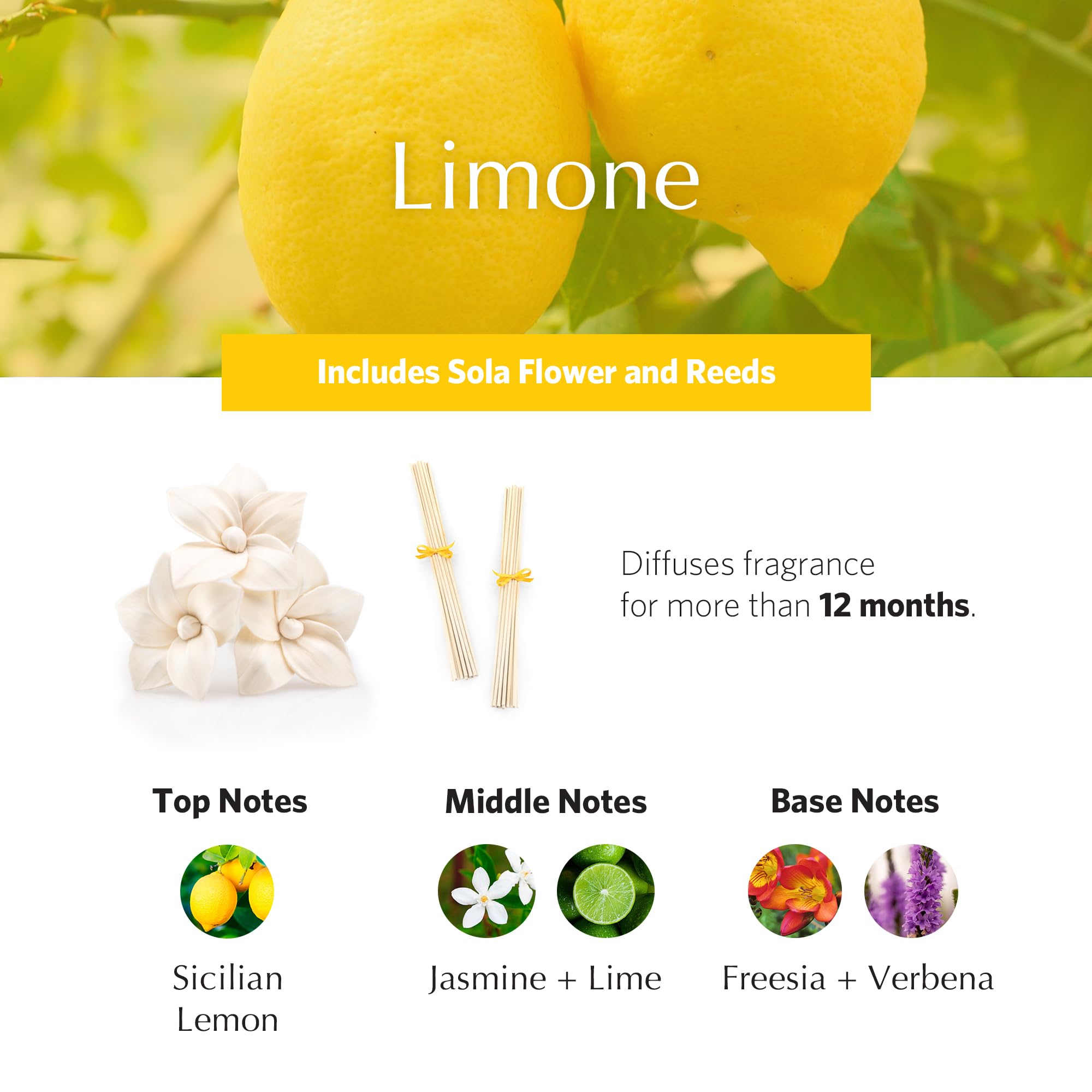 AGRARIA Monique Lhuillier Limone Scented AirEssence Diffuser - 7.4 oz Reed Diffuser with Natural Reeds & Floral Accents | Perfect for Home, Office, Bedroom & Bathroom Aromatherapy