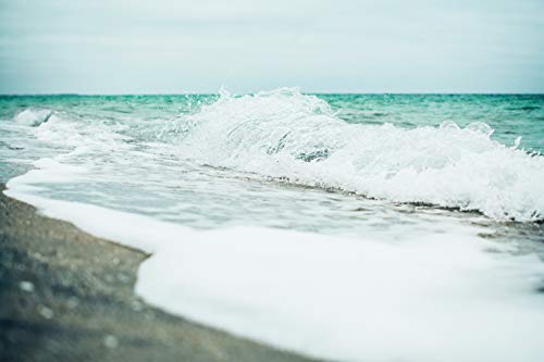 Sea N167