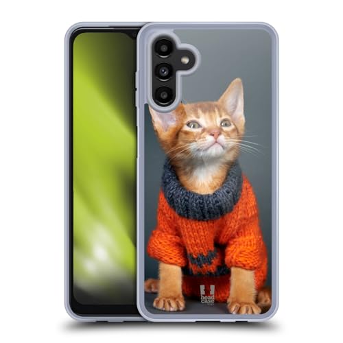 Orange Abyssinian Kitten
