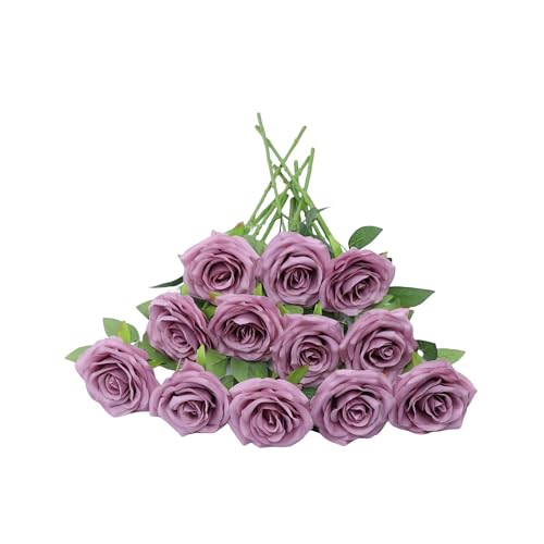 12 Mauve