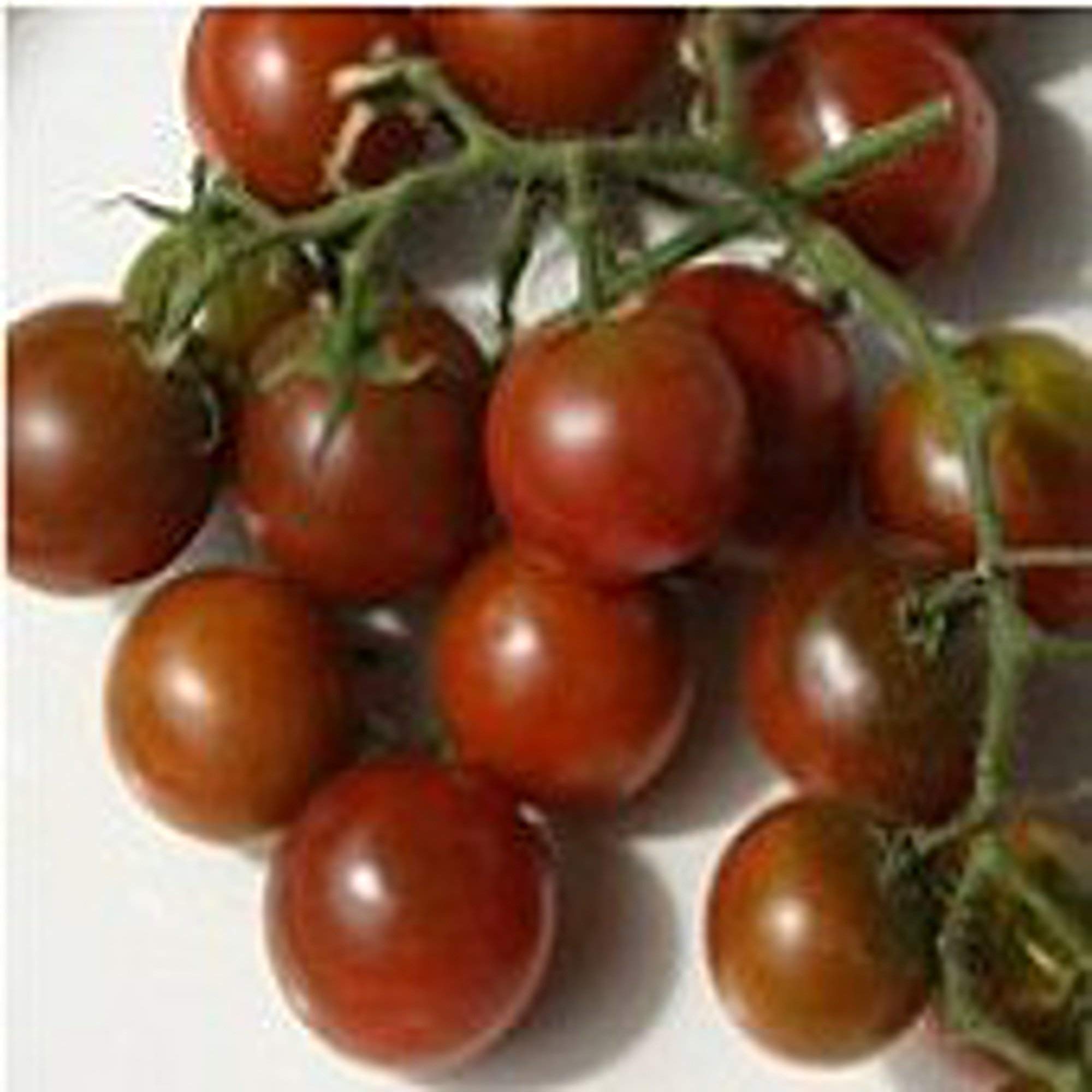 Organic Brown Berry Tomato Seeds (20+ Seeds) | Non-GMO Heirloom Variety | Vegetable & Fruit Seeds for Planting | Home Garden, Greenhouse, or Container Gardening | Perfect for Salads, Sauces, and Fresh Eating