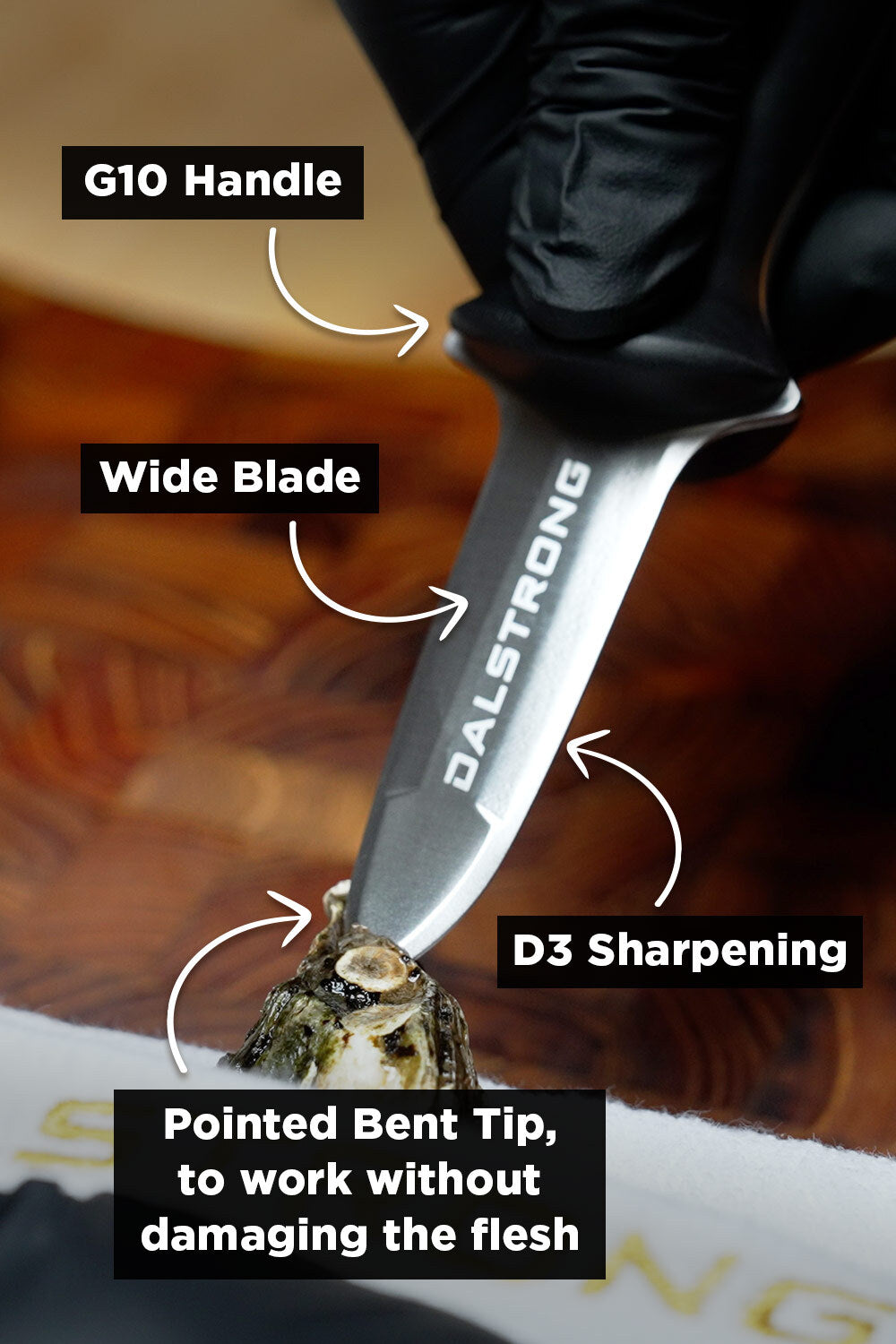 Premium Dalstrong Gladiator Series Boston Oyster Shucking Knife - NSF Certified Professional 3