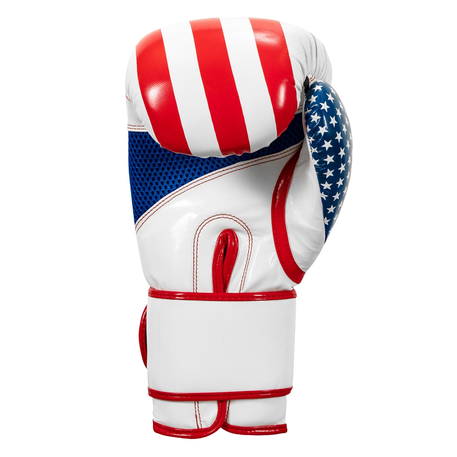 TITLE Boxing Infused Foam Combat USA Training Boxing Gloves - Premium MMA & Kickboxing Gloves for Men & Women - Perfect for Sparring, Bag Work & Fitness Training