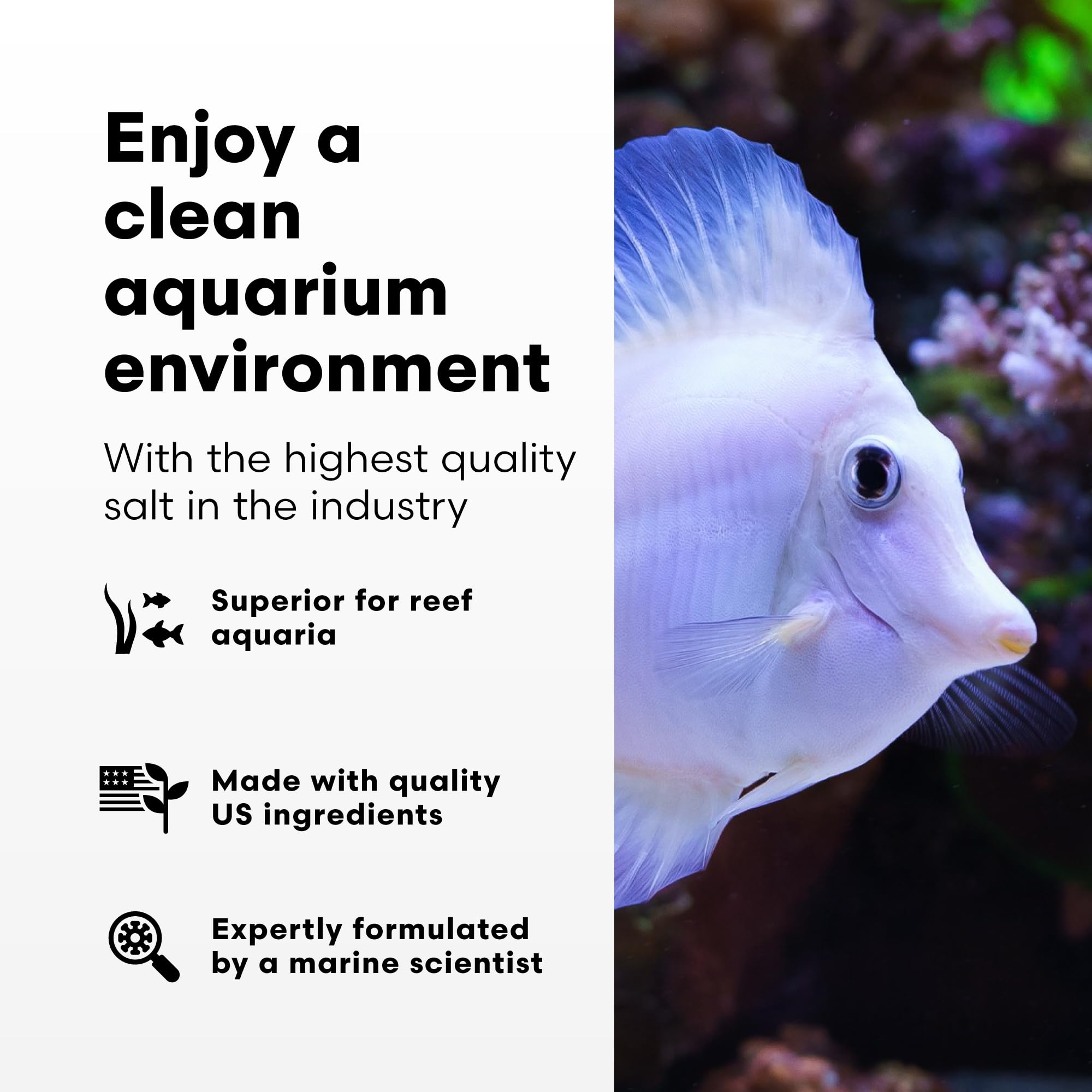 Brightwell Aquatics NeoMarine Marine Salt Blend for Reef Aquarium - Premium Fish Tank Starter Salt for Saltwater Aquariums - 150-Gallon Water Treatment for Coral Growth & Healthy Marine Life - Perfect for Reef Tanks, Fish-Only Tanks & Aquatic Habitats