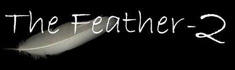 Myers Pickups The Feather-2 Accordion Microphones - Dual Flexible Micro-Goosenecks for Professional Recording | Perfect for Accordion Players, Live Performances & Studio Sessions