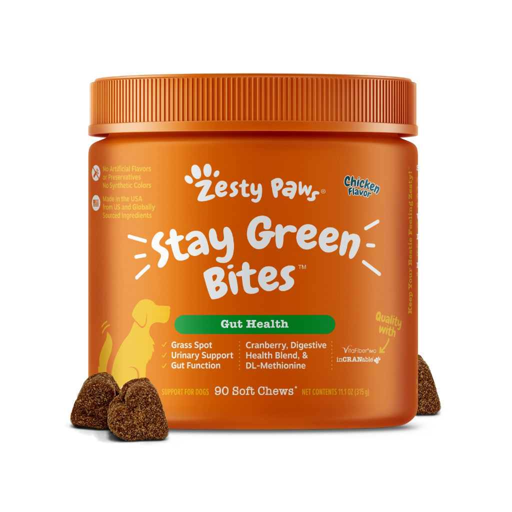 Zesty Paws Multivitamin Bites for Dogs - Immune Support, Skin & Coat Health, Joint Mobility, Digestive & Antioxidant - Natural Flavor - Perfect for Daily Wellness & Active Lifestyles