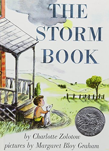 The Storm Book - Thrilling Adventure Novel for Teens & Adults | Perfect for Reading in Stormy Weather, Book Clubs & Gifts