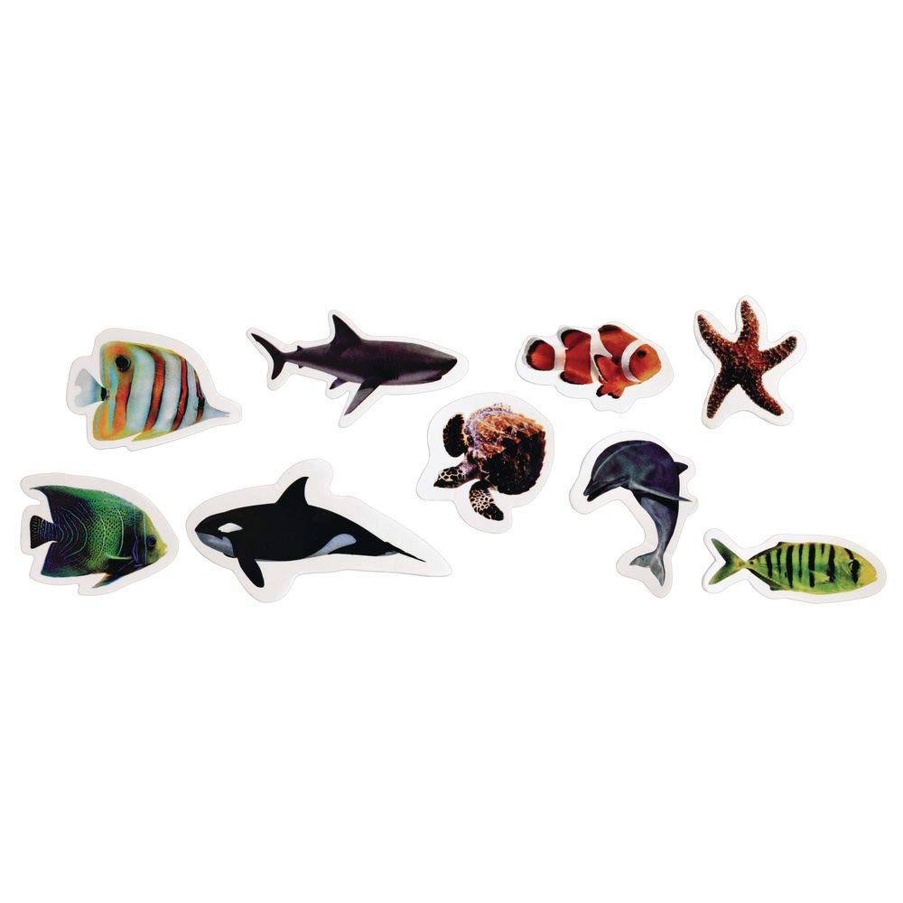 Colorations Sea Life Photo Real Foam Stickers - 250 Self-Adhesive Stickers for Kids, Scrapbooking, Crafts & Biology Projects | Ocean-Themed Art Supplies for Classroom, Homeschool & DIY Projects
