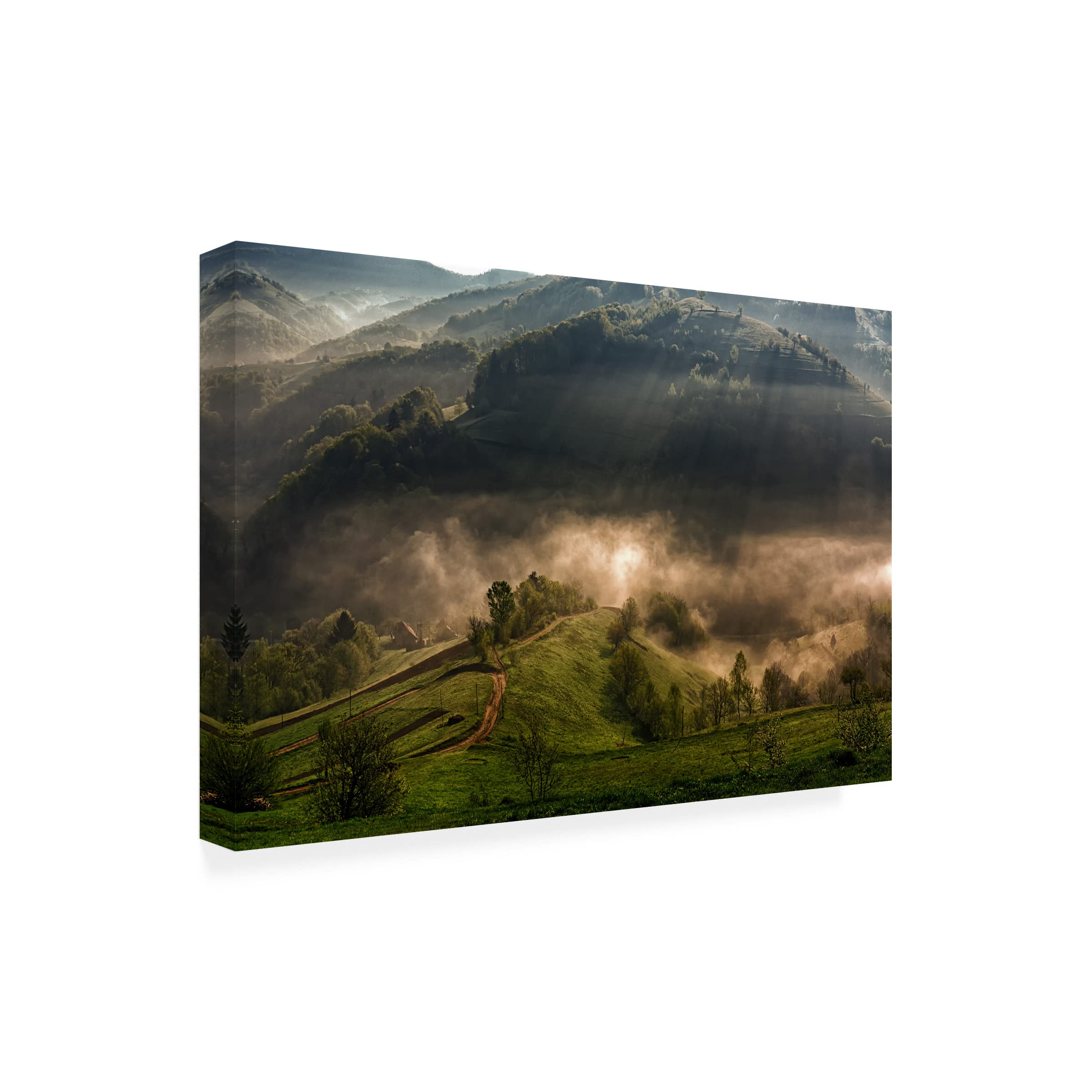 Trademark Fine Art 'Morning Fog' Canvas Print by Mihail Dulu - Landscape Wall Art for Living Room, Bedroom & Office Decor